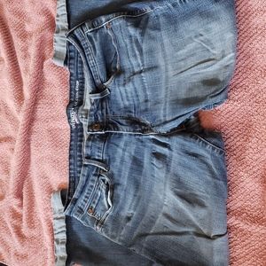 Denizen by Levis Modern Crop 12